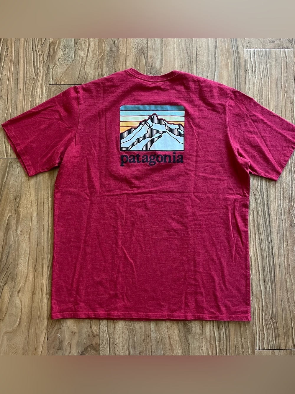 Patagonia T-shirt